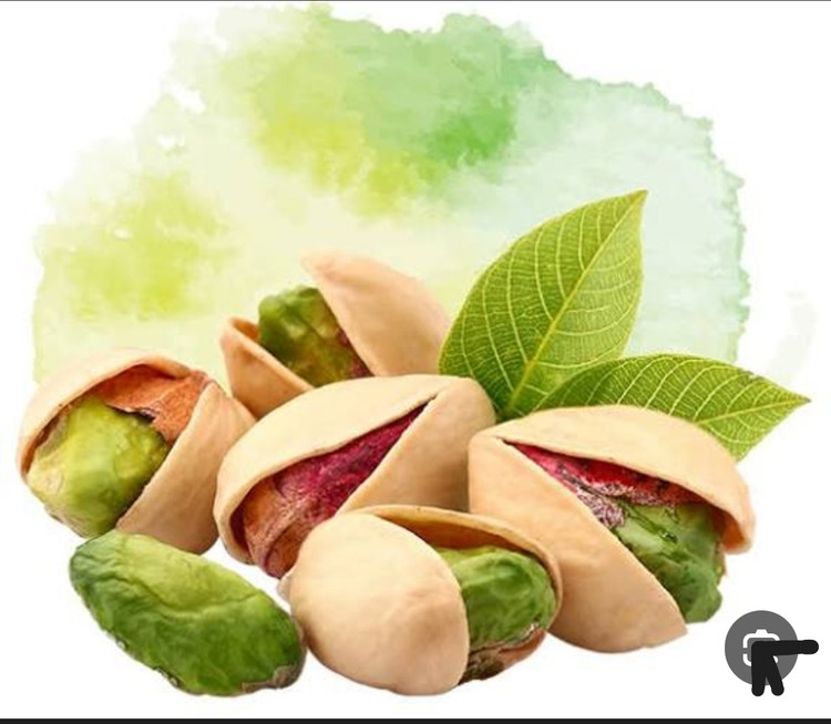 پسته احمد آقائی